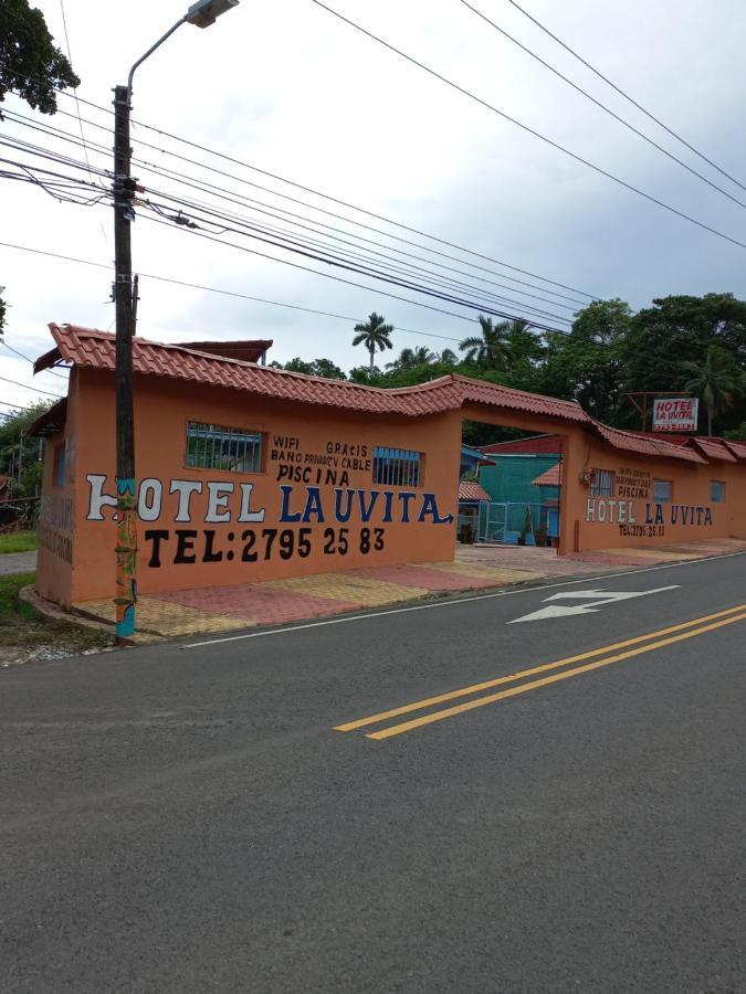 Hotel La Uvita بويرتو ليمون المظهر الخارجي الصورة