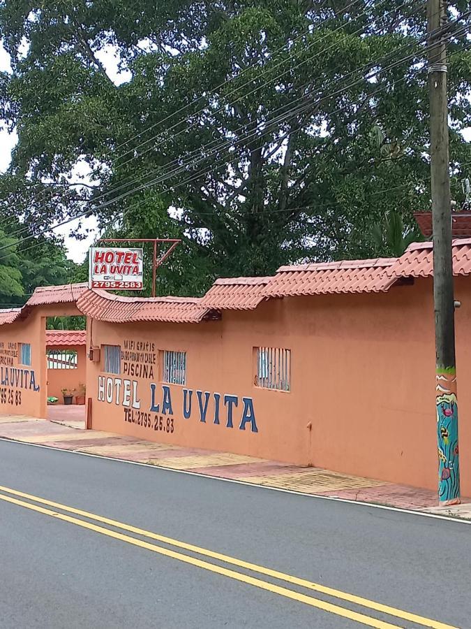 Hotel La Uvita بويرتو ليمون المظهر الخارجي الصورة