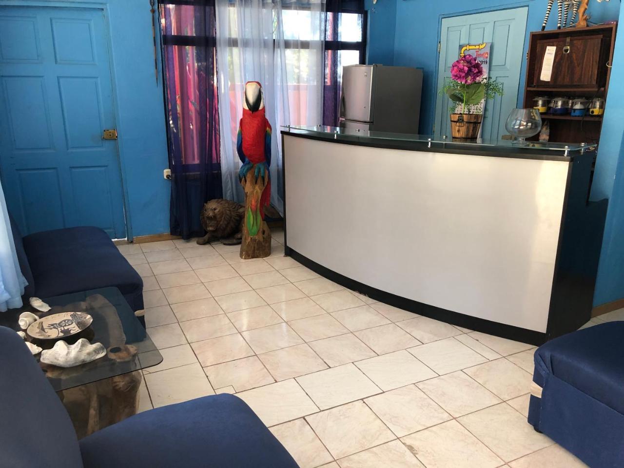 Hotel La Uvita بويرتو ليمون المظهر الخارجي الصورة